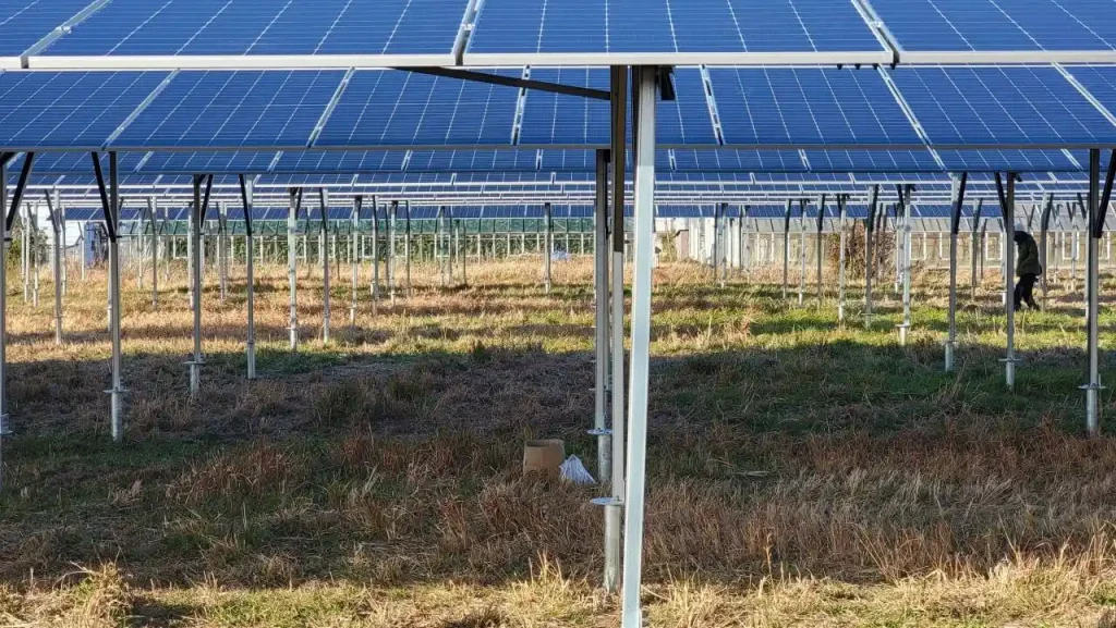 Large-scale agrivoltaics project featuring SR Solar mounting structures installed over farmland