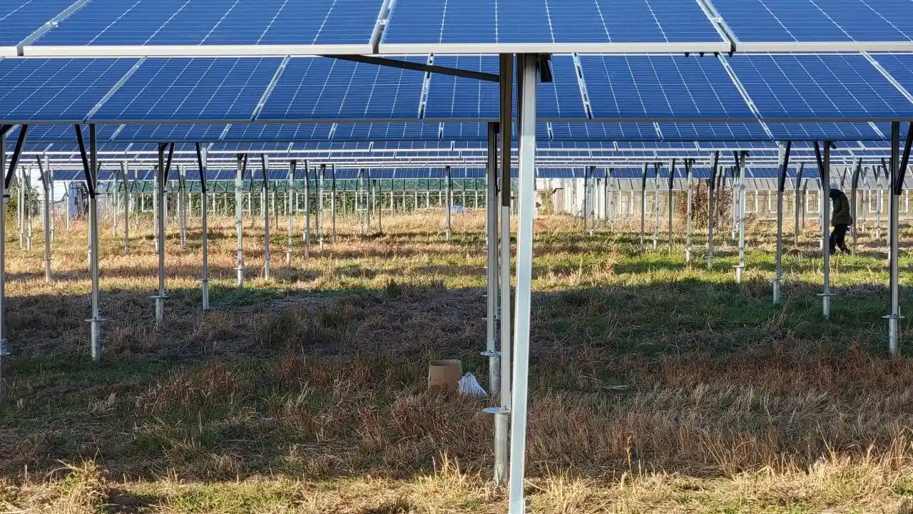Large-scale agrivoltaics project featuring SR Solar mounting structures installed over farmland