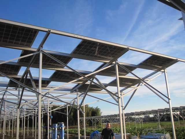 Complete installation of a large-scale agrivoltaics greenhouse tracking framework by SR Solar.