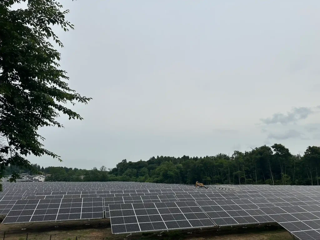 Side view of the solar mounting system matrix by SR Solar integrated seamlessly into the natural landscape.