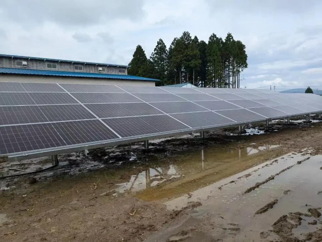 An angled view of solar module arrays supported by SR Solar single-pole mounting brackets on sloped terrain.