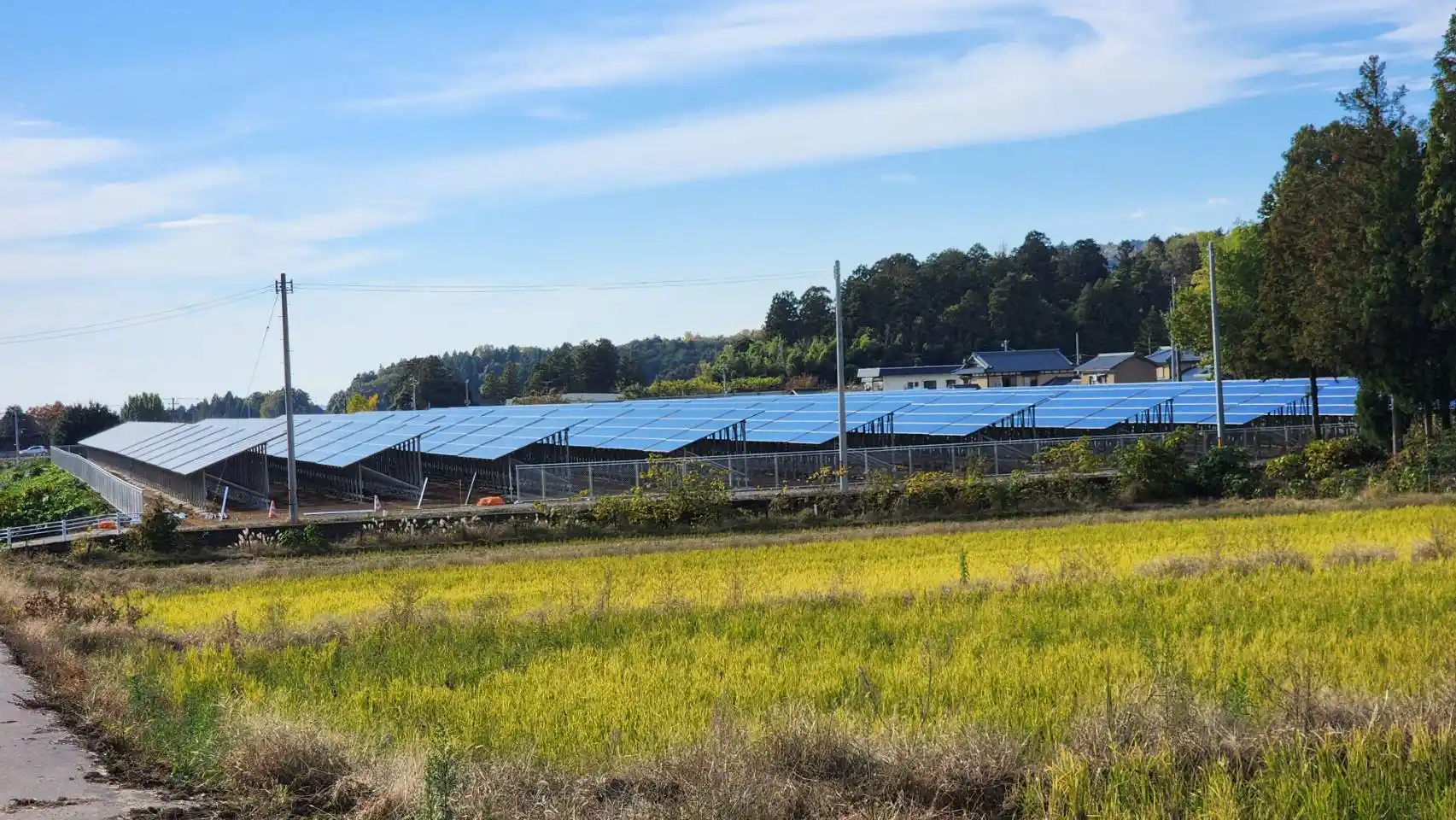 Mid-range landscape perspective of parallel rows of SR Solar ZAM steel ground racking profiles with concrete pillars.