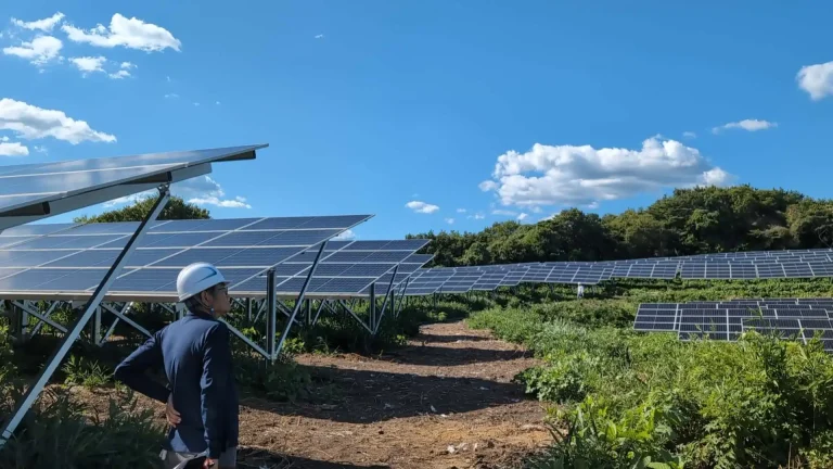 SR Solar aluminum ground mounting system with driven pile foundation installed on a large solar farm
