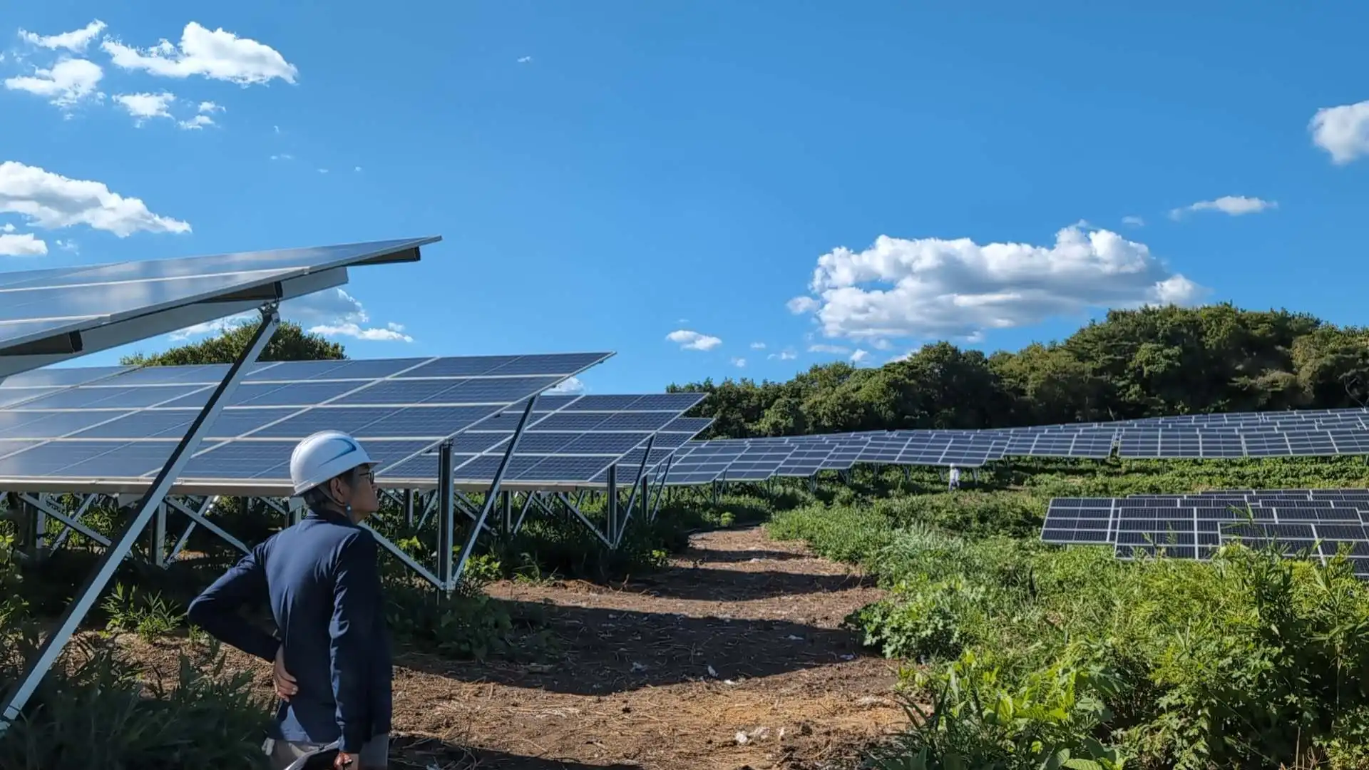SR Solar aluminum ground mounting system with driven pile foundation installed on a large solar farm